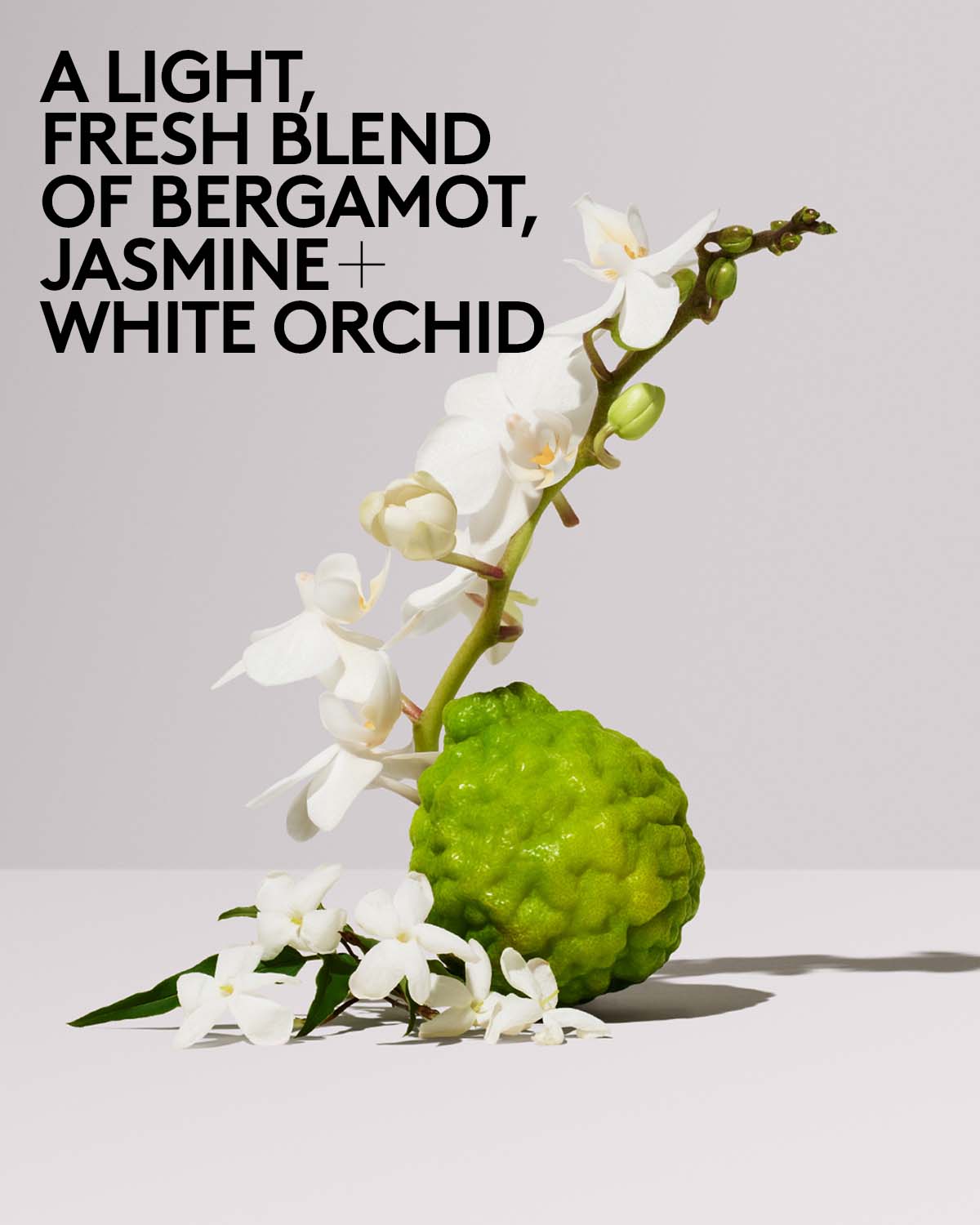 Butta Drop Whipped Oil Body Cream with Tropical Oils + Shea Butter ?? Fenty Fresh - Image 7